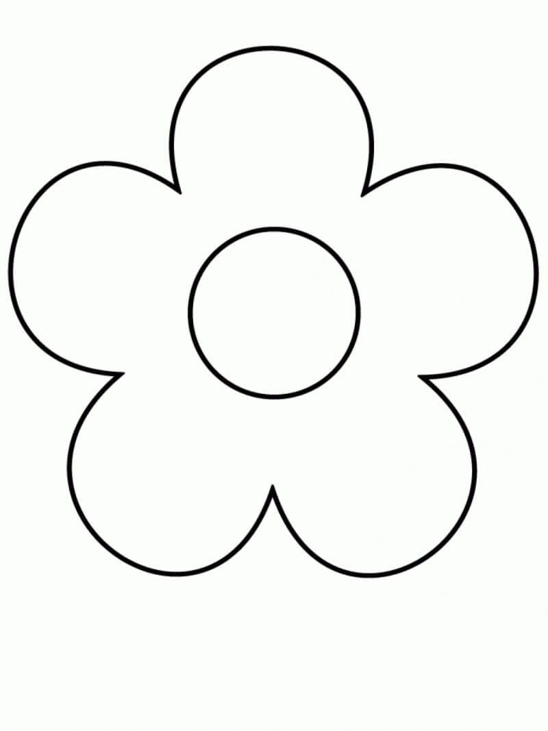 50+ Flower Drawing Colour Easy Gif - flower