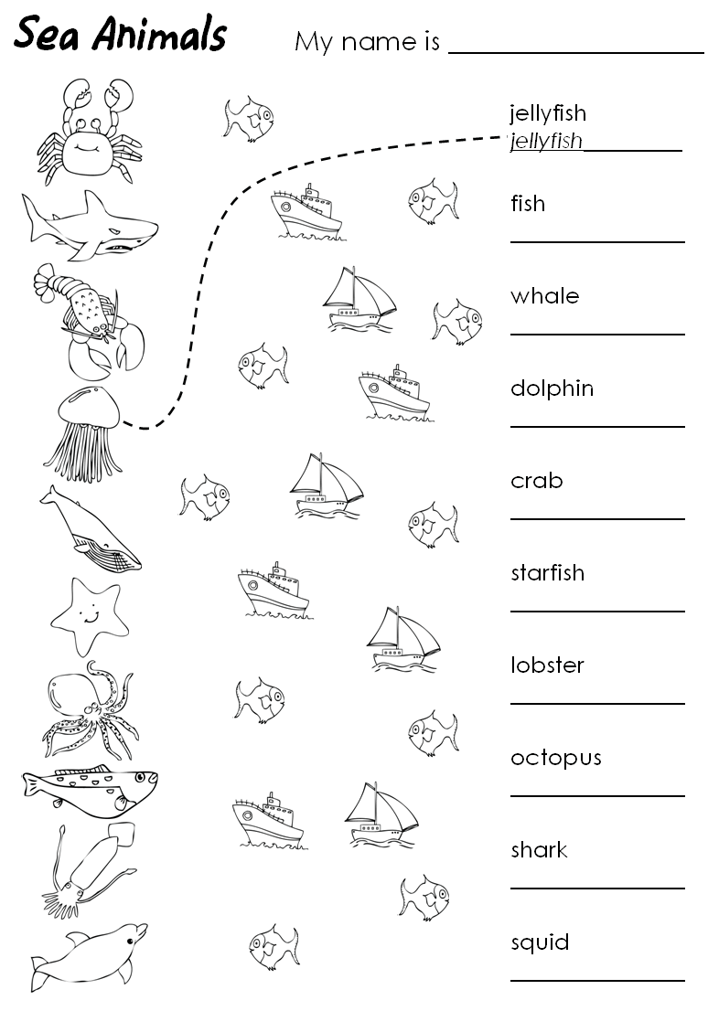 1st Grade Worksheet - Matching Words and Pictures