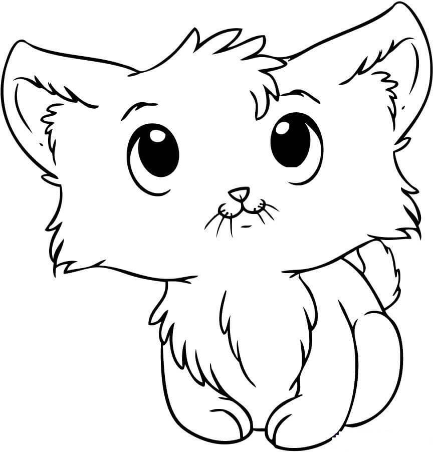 cat coloring pages – coloringrocks