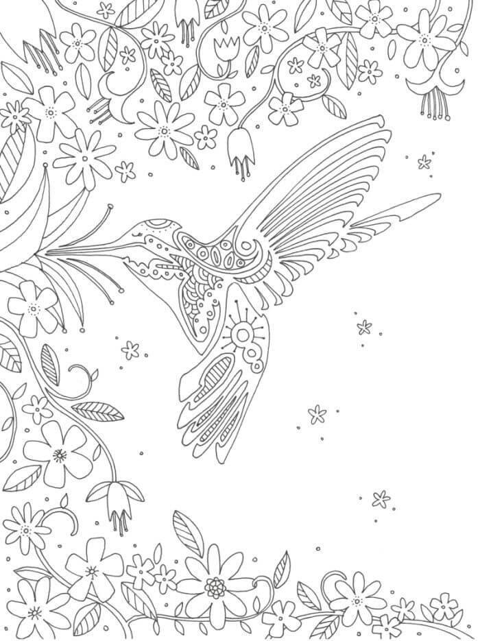 Adult Hummingbird Coloring Page