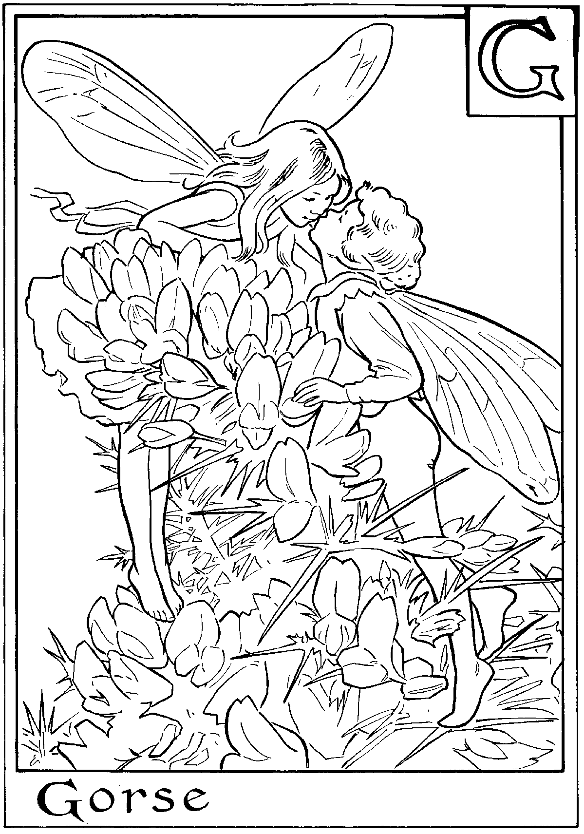 Alphabet Fairy Gorse Coloring Page