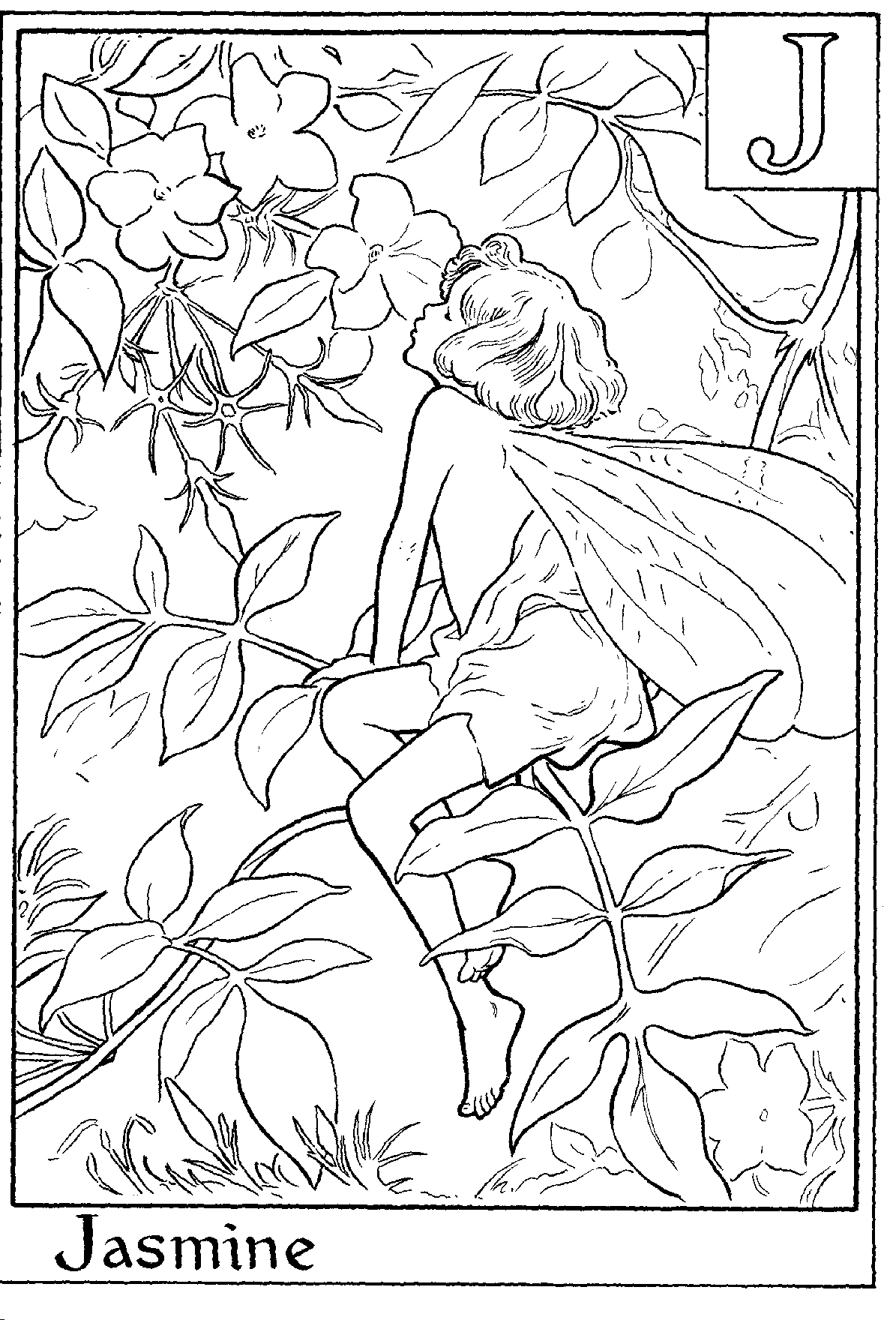 Alphabet Fairy Jasmine Coloring Page