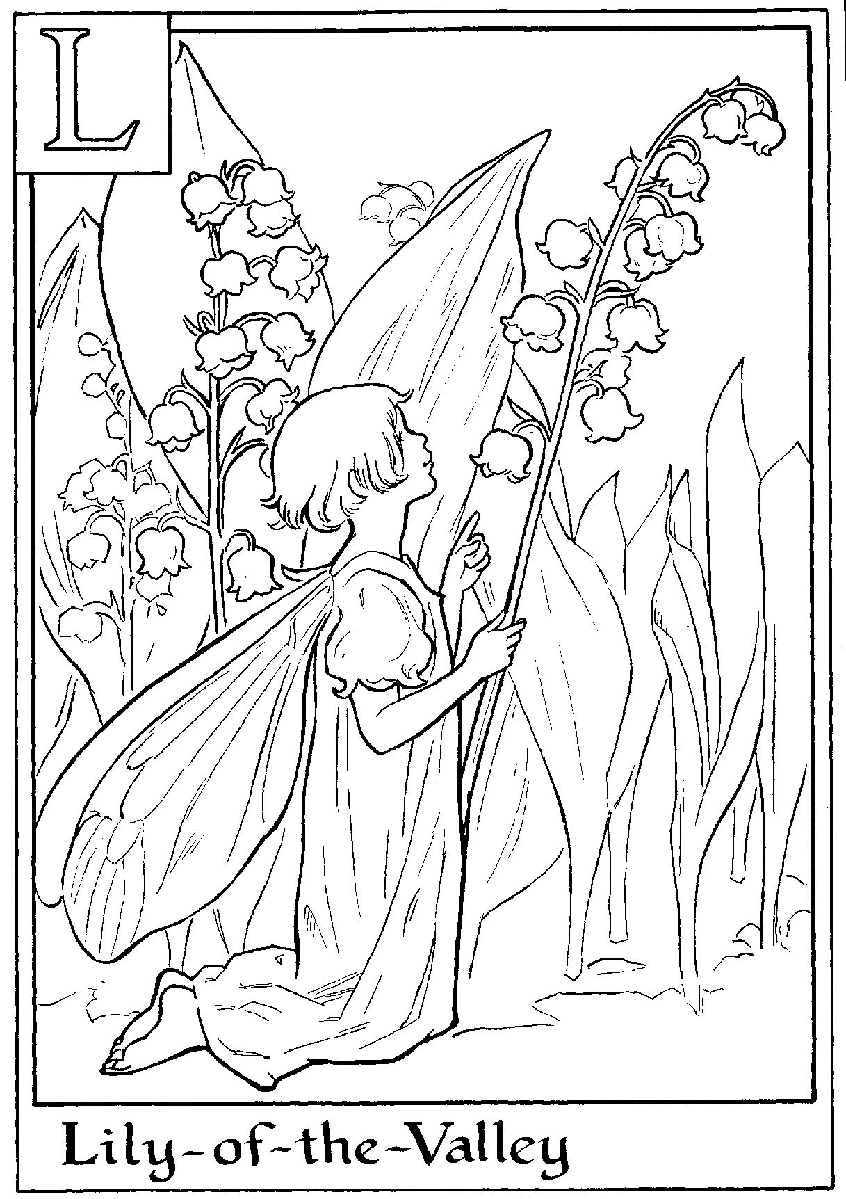 Alphabet Fairy Lily Coloring Page