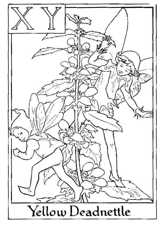 Alphabet Fairy Yellow Deadnettle Coloring Pages