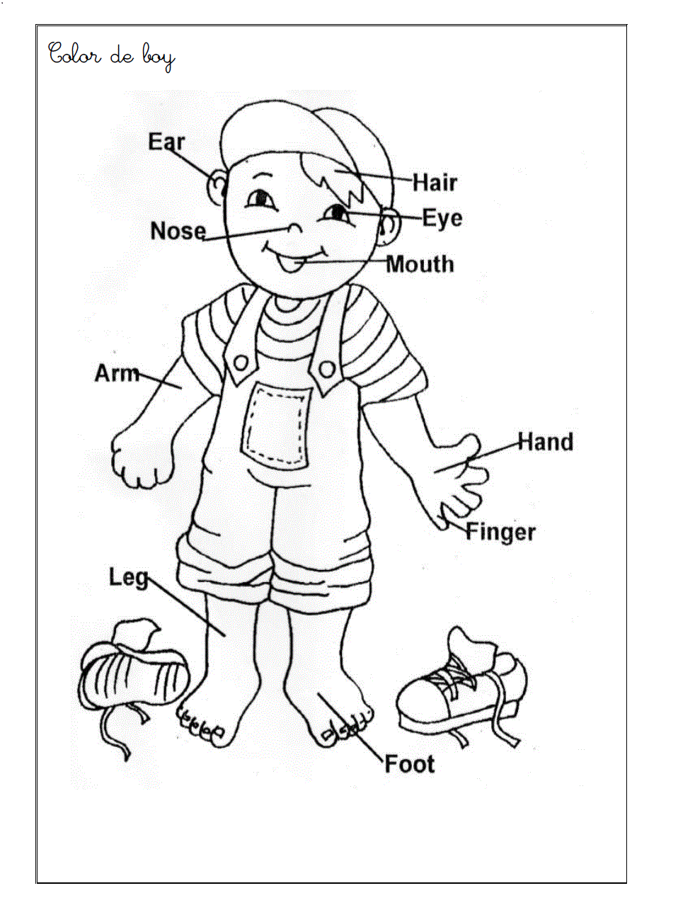 Anatomy Coloring Page For Preschool