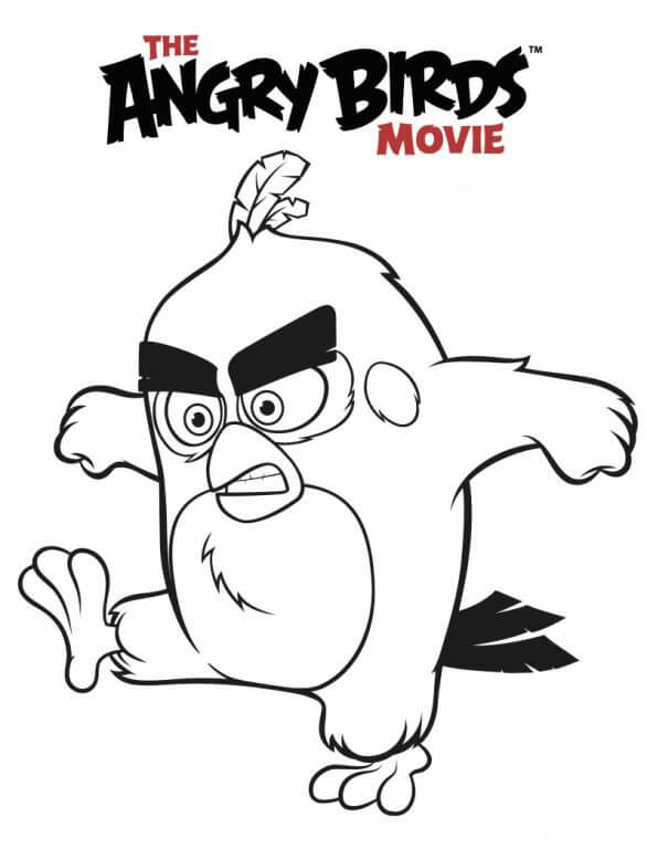 Angry Birds Movie Picture Red
