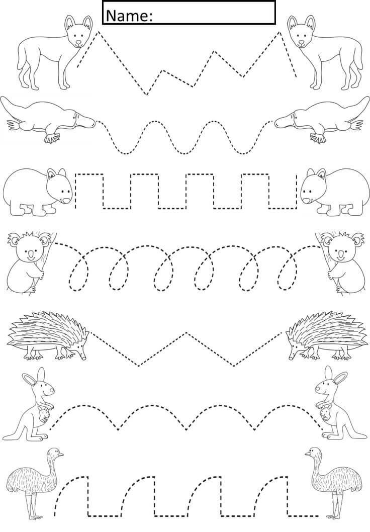 Animal Paths Tracing Page For Preschool