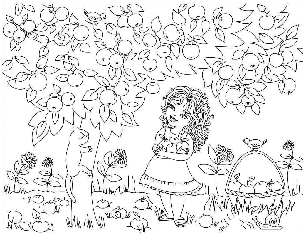 Apple Picking Fruit Coloring Pages