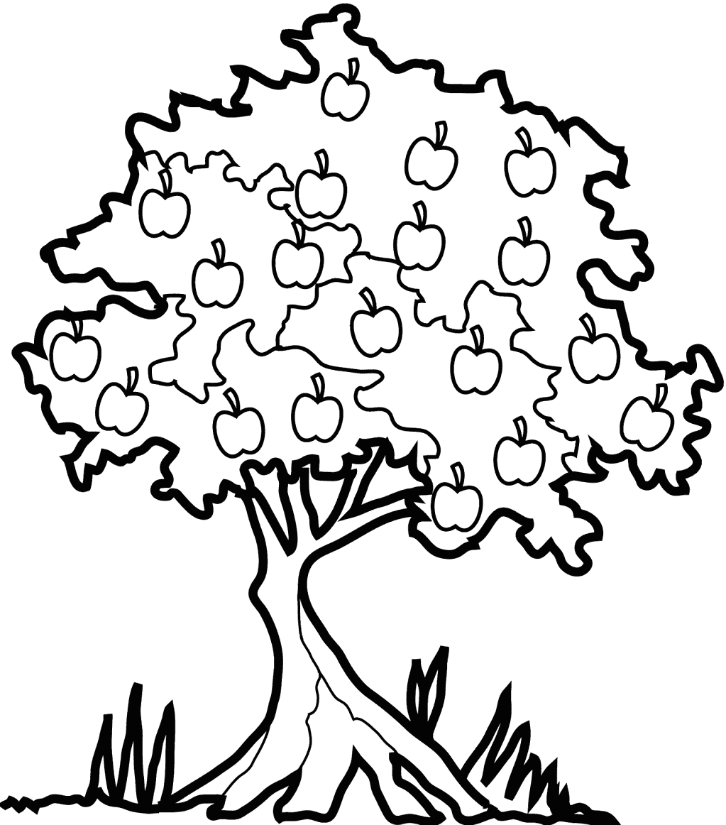 22+ Apple Tree Coloring Page Pictures