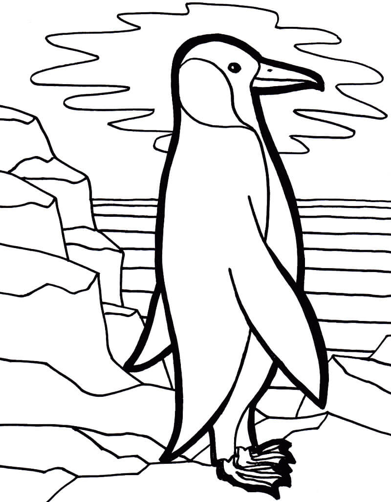 Arctic Penguin Coloring Pages