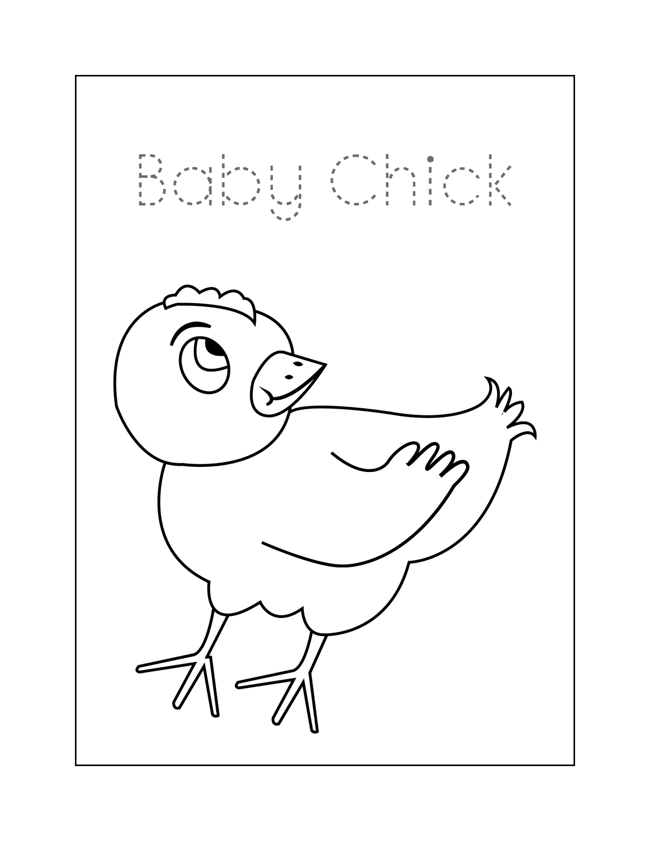 Baby Chick Worksheet