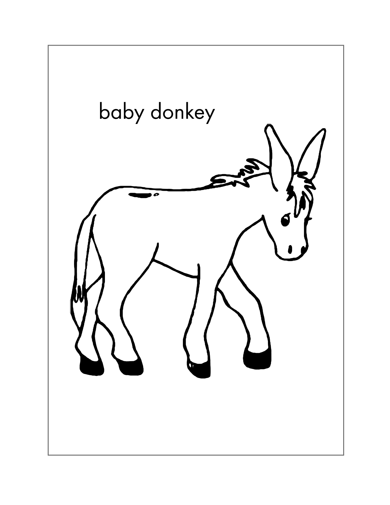 Baby Donkey Coloring Page