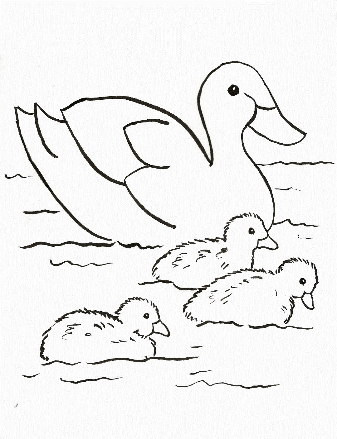Baby Ducks Coloring Page