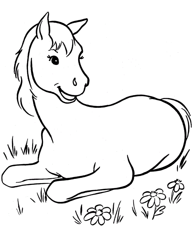 Baby Horse in Grass Coloring Page
