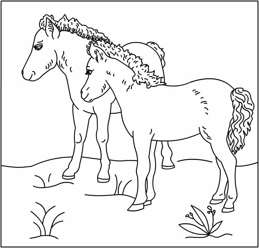 Baby Horses Coloring Page