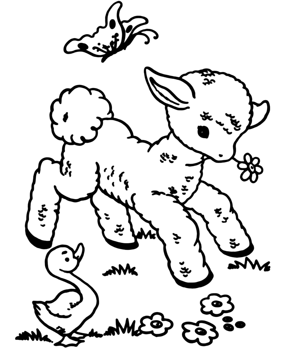 Baby Lamb Coloring Pages