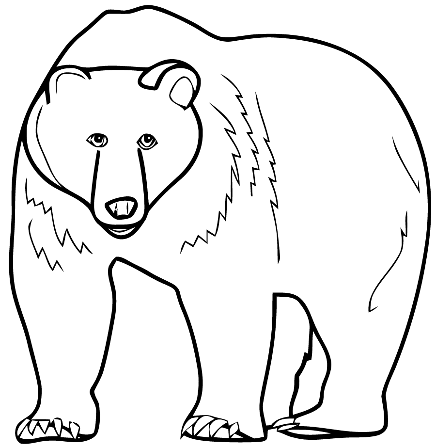 Bear Coloring Page for Preschool