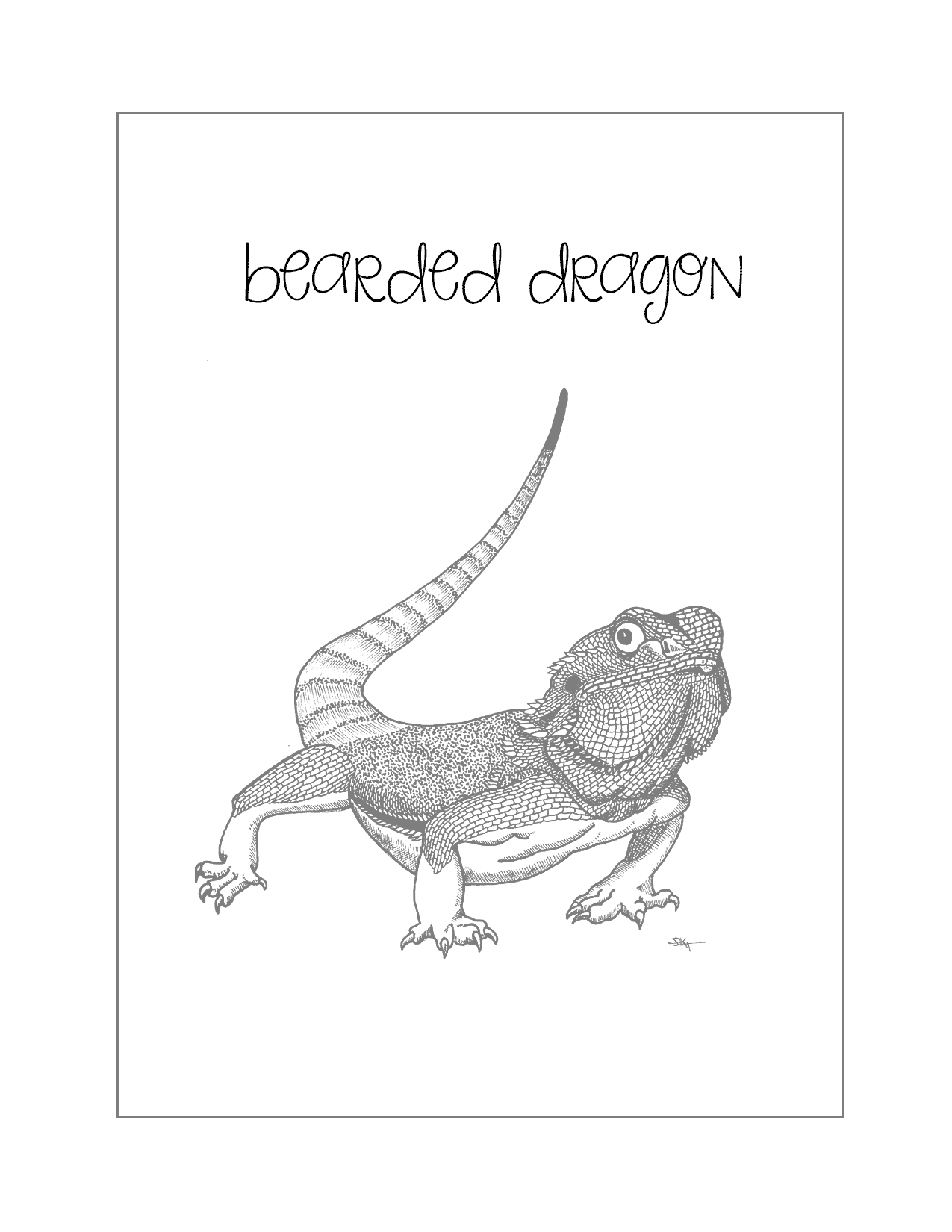 Bearded Dragon Traceable Coloring Page
