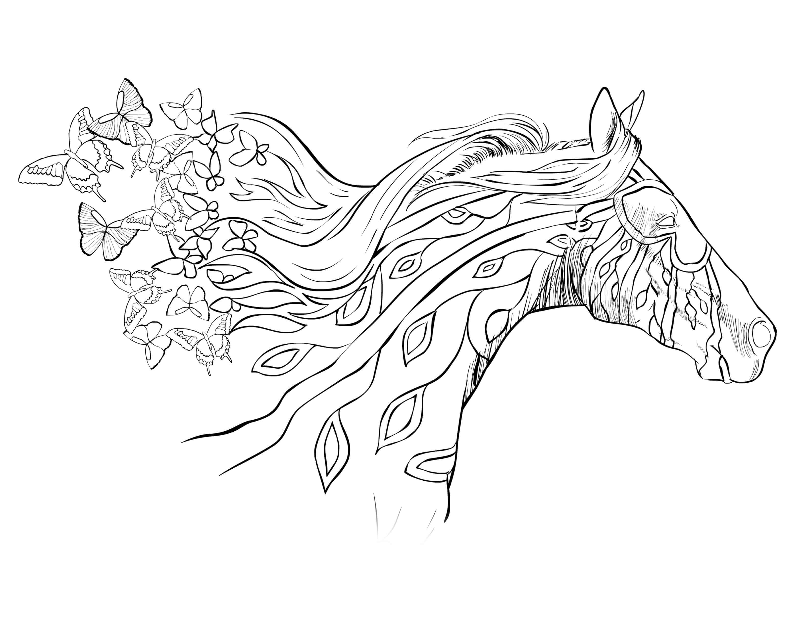 Beautiful Horse Coloring Page Image