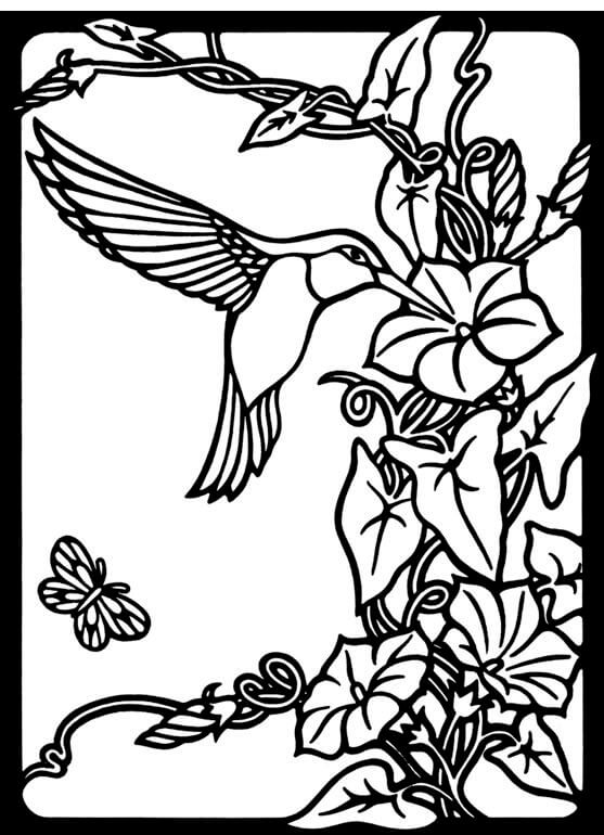 Beautiful Hummingbird Printable Card to Color