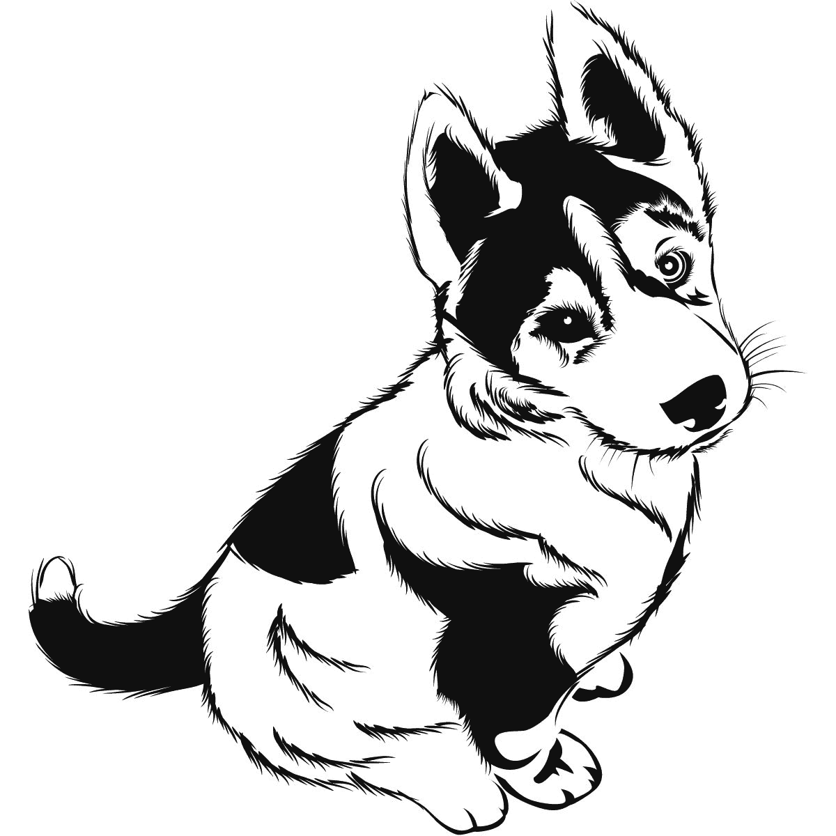 Printable Husky Puppy Coloring Pages Printable World Holiday