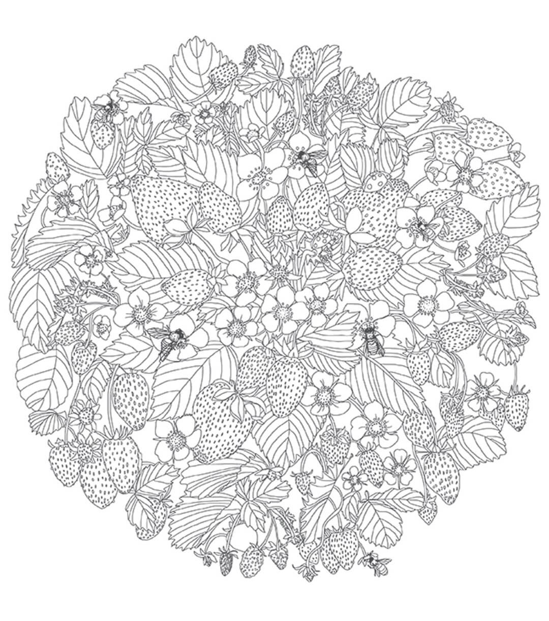 Beautiful Strawberries Fruit Coloring Page