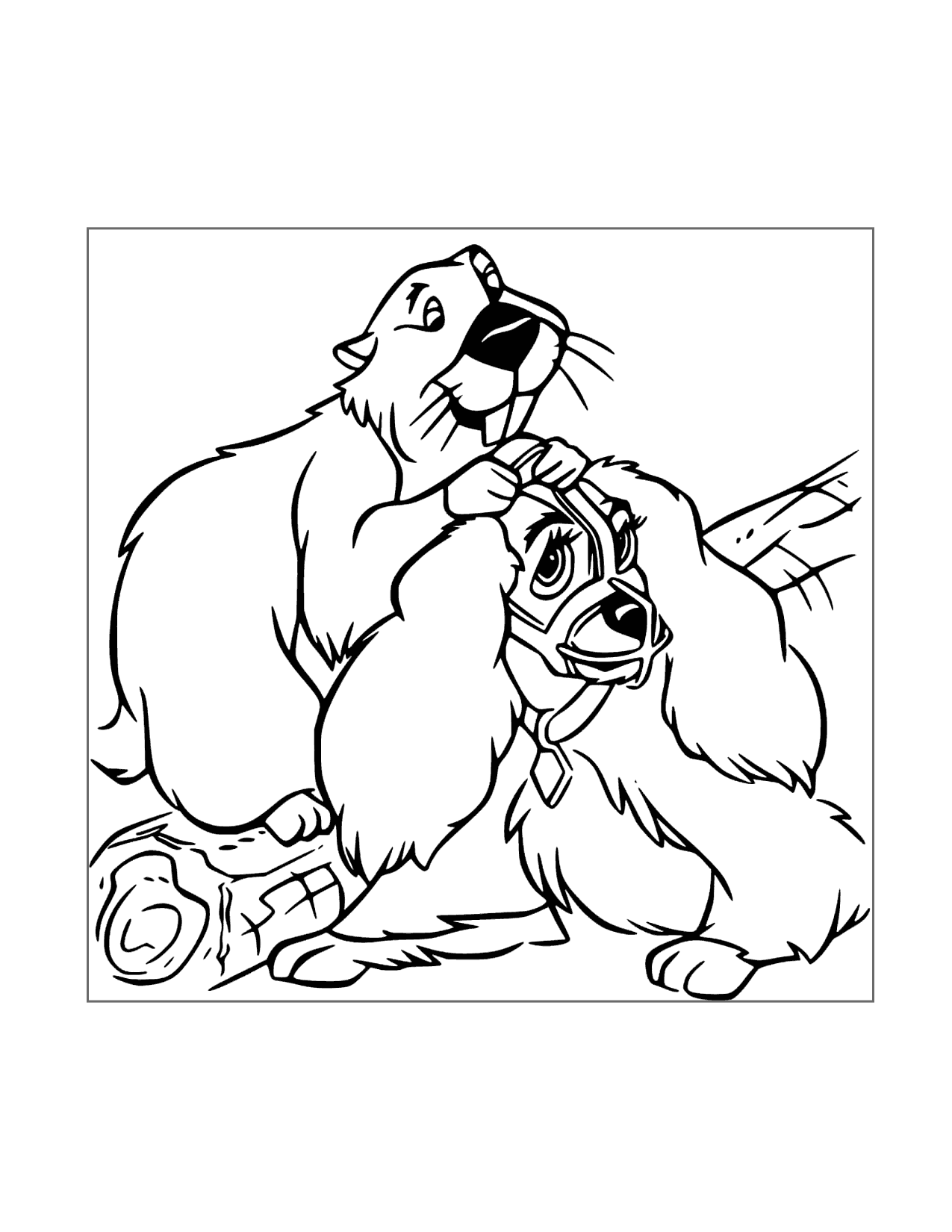 Beaver Removes Ladys Muzzel Coloring Page