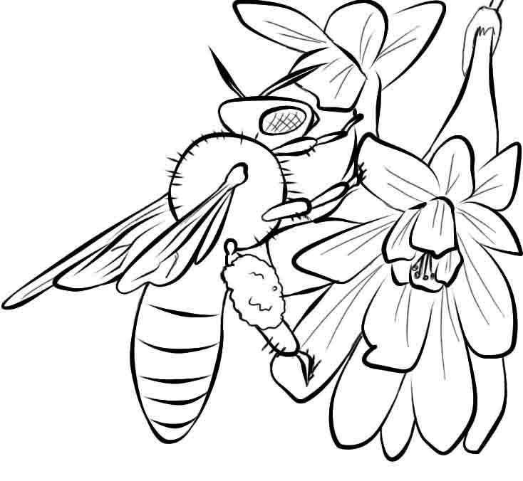 Bee and Flowers Coloring Page