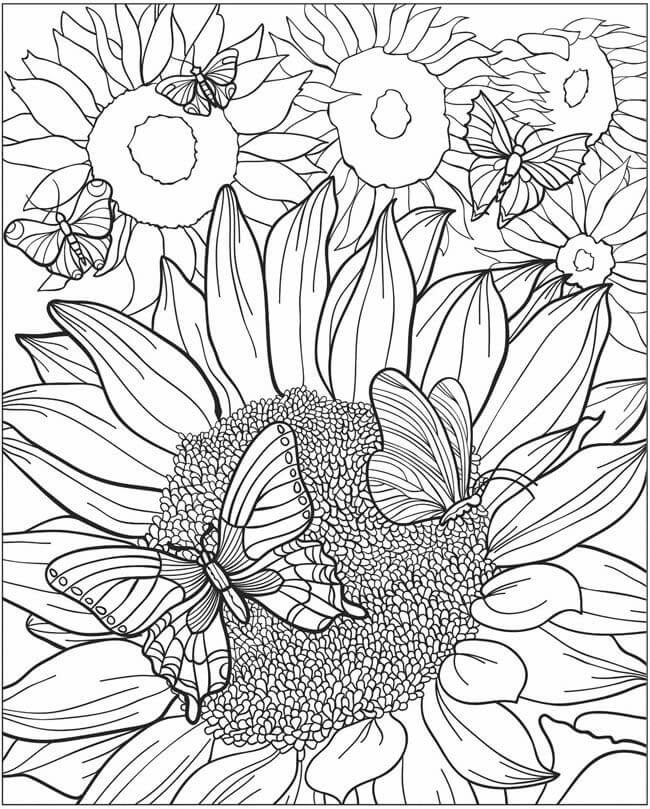Big Sunflower Coloring Page