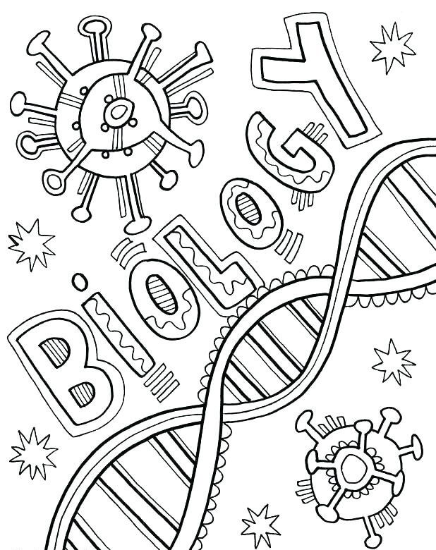 Biology Coloring Page