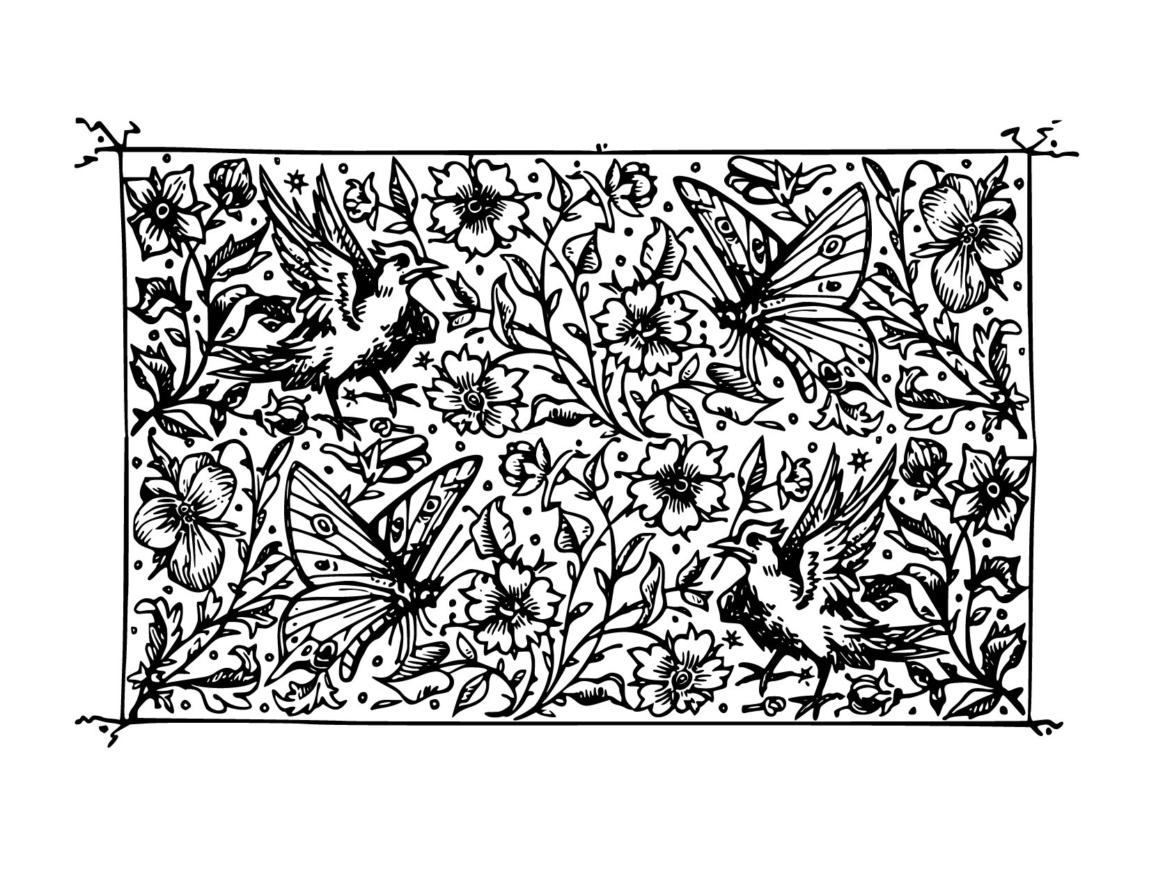 Bird And Butterfly Art For Coloring