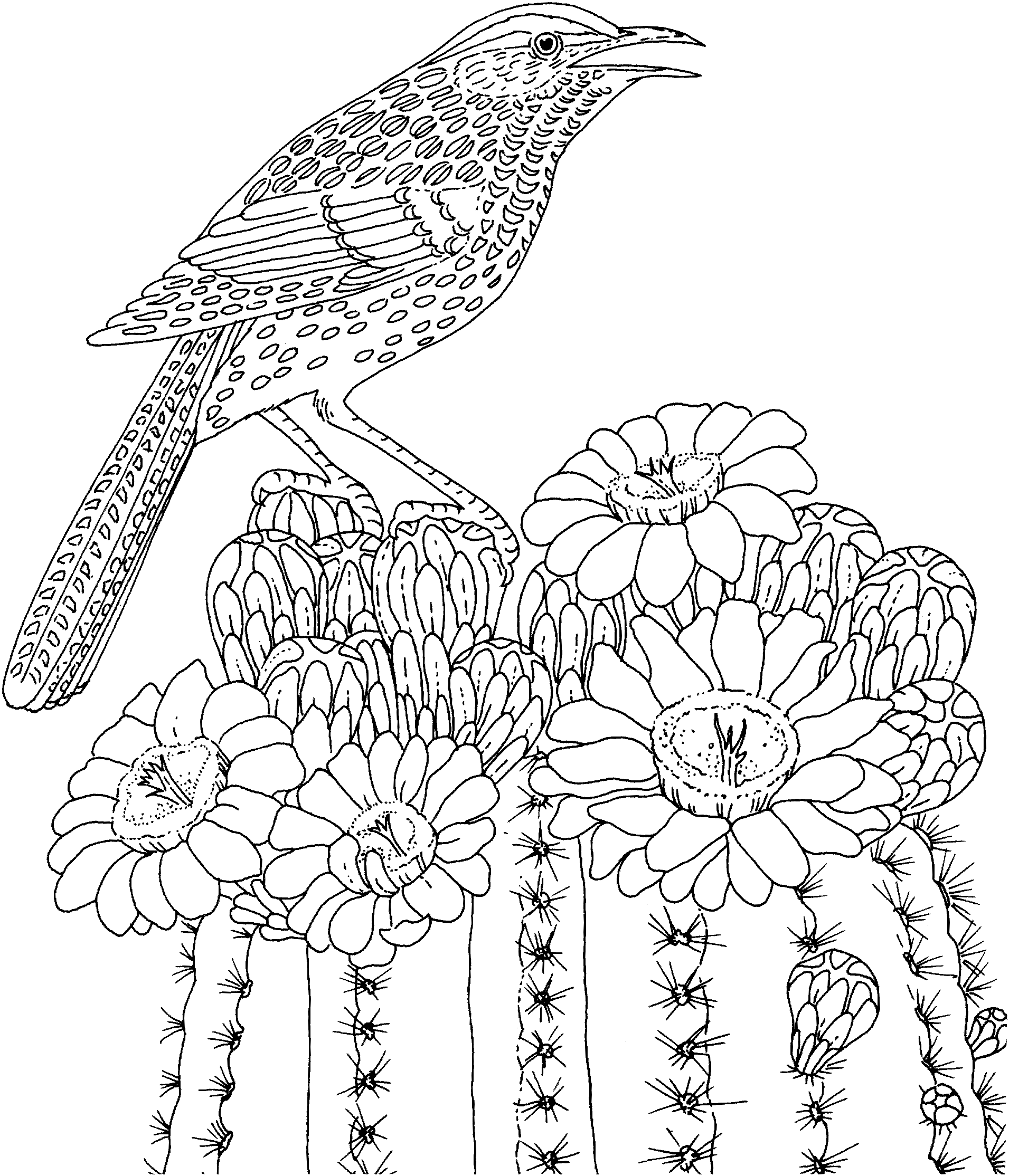 Bird and Flower Coloring Page for Adults