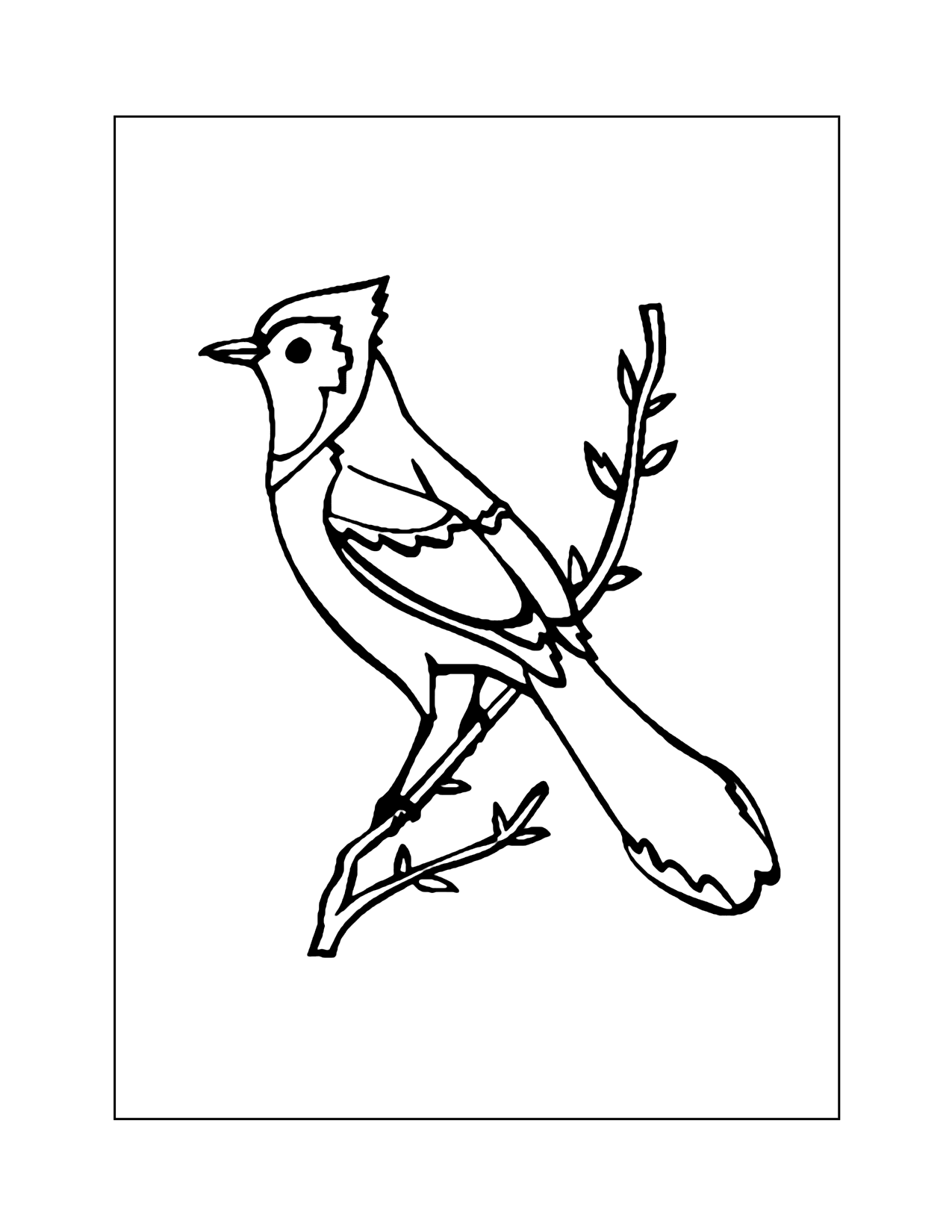 Blue Jay Bird Coloring Pages