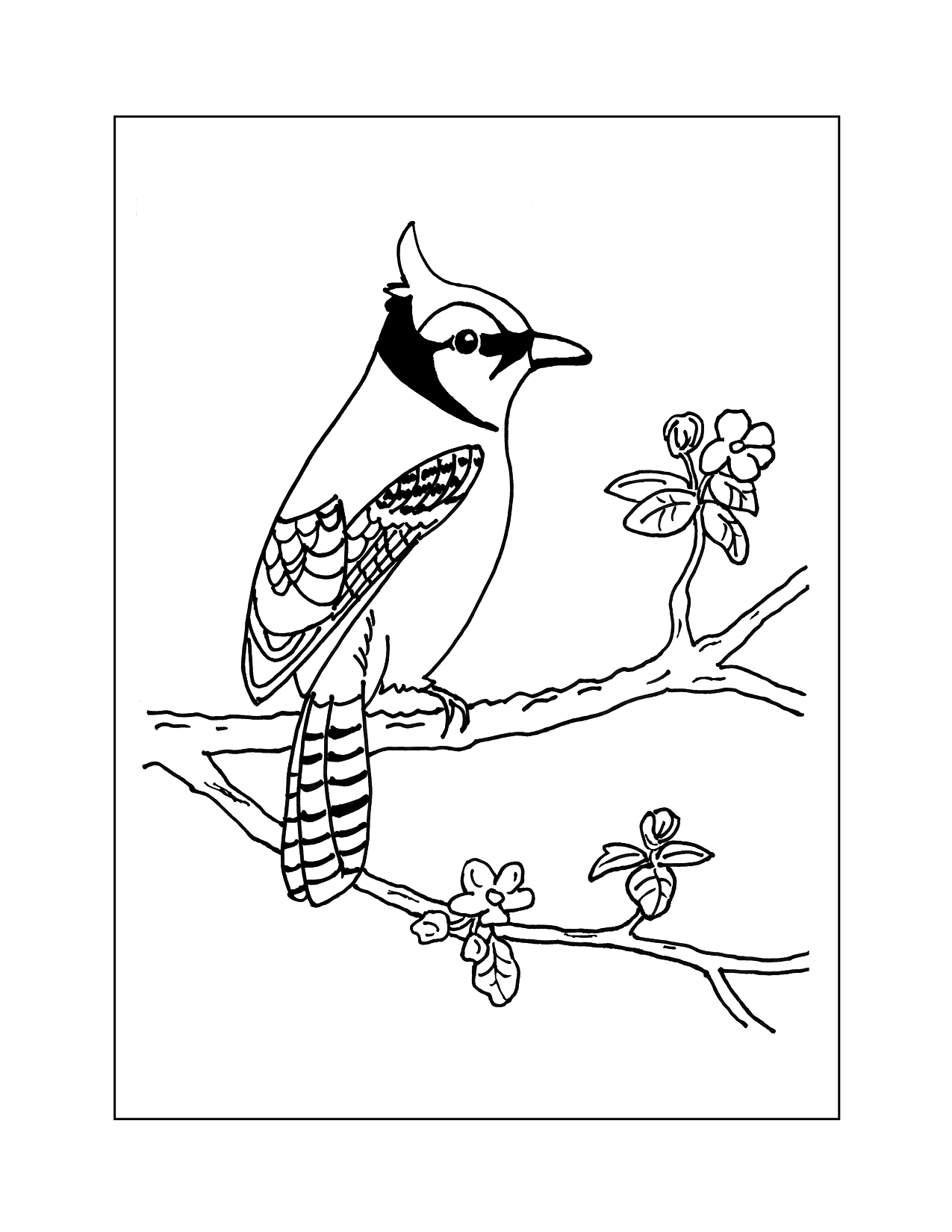 Blue Jay In A Crabapple Tree Coloring Page