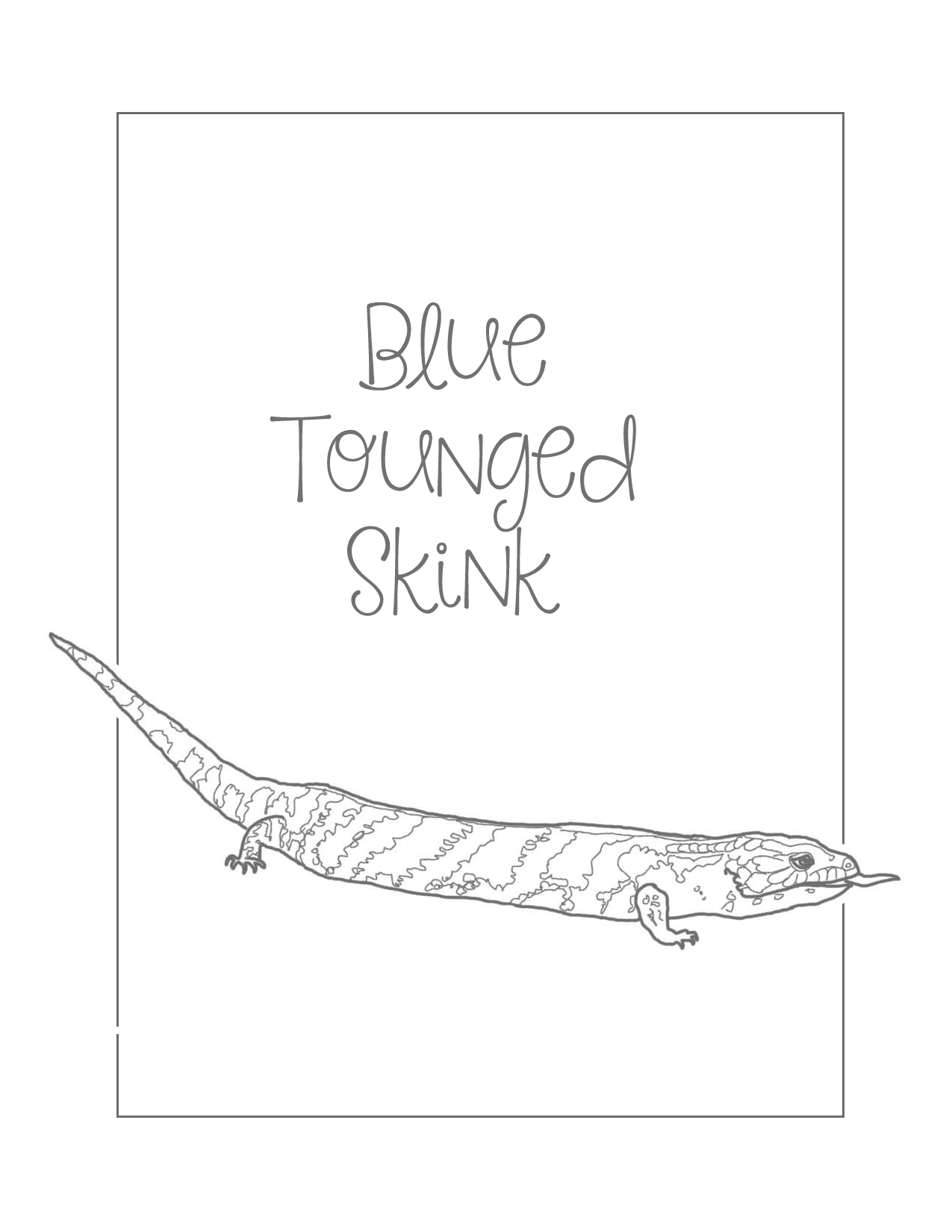 Blue Tounged Skink Lizard Traceable Coloring Page
