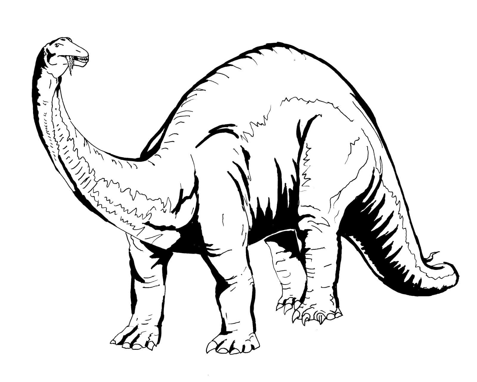 Brachiosaurus Dinosaur Coloring Pages