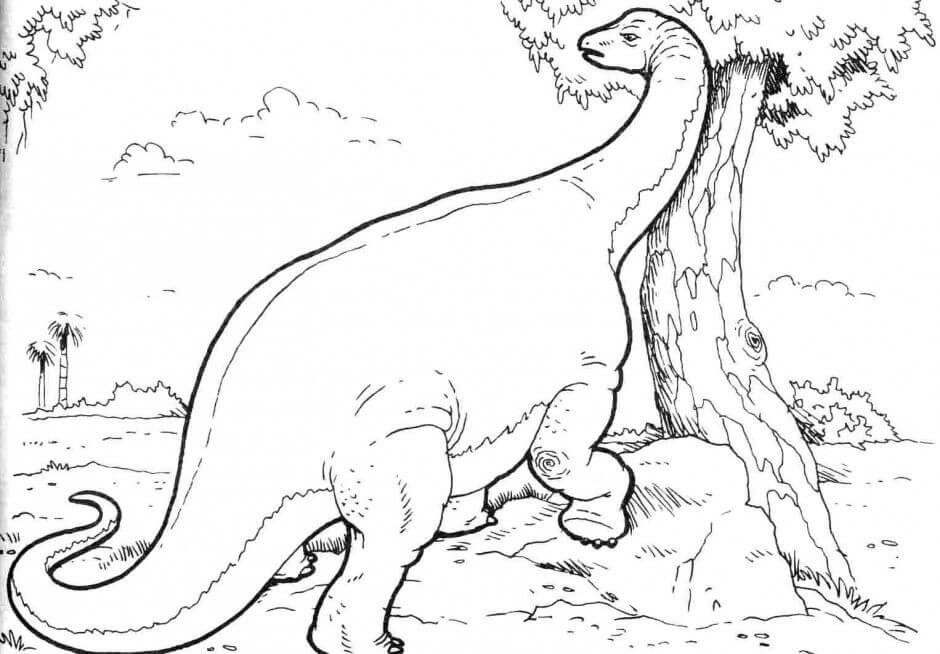 Brontosaurus Dinosaur Coloring Sheet