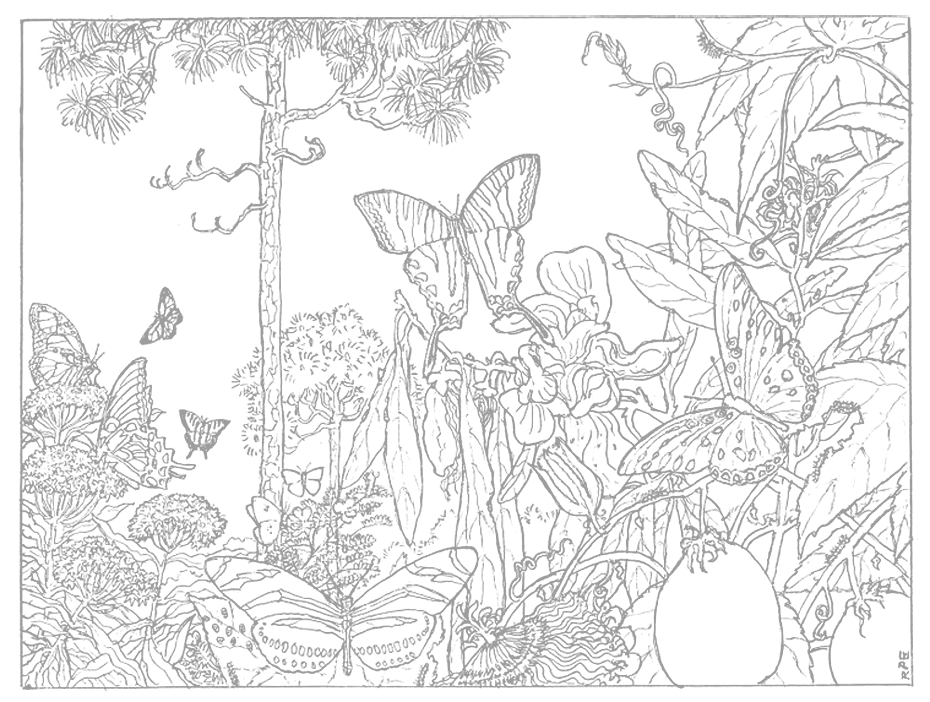 Butterflies In The Forest Traceable Coloring Page
