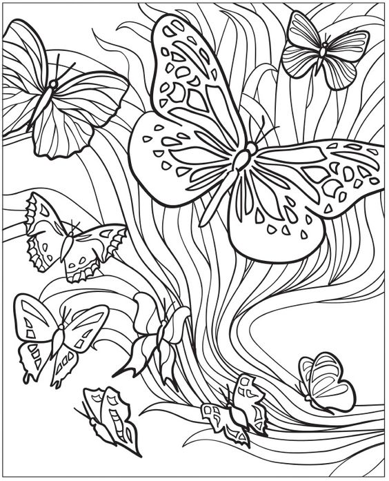 Butterfly Coloring Pages for Teens