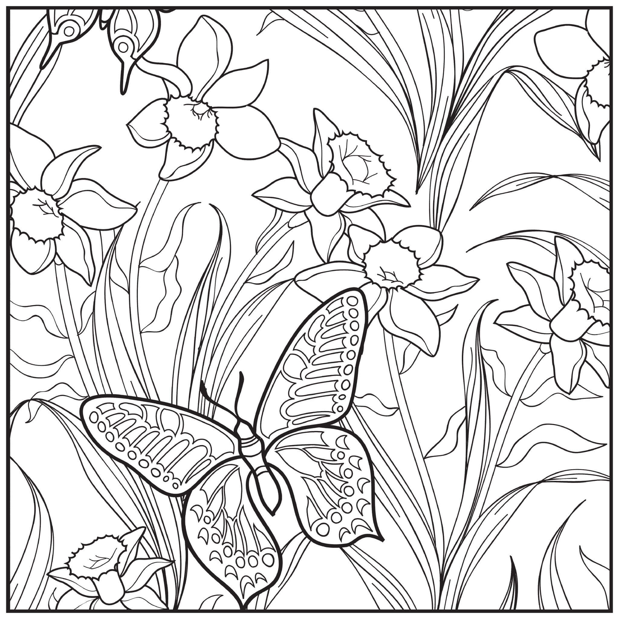 Butterfly in Garden Coloring Page