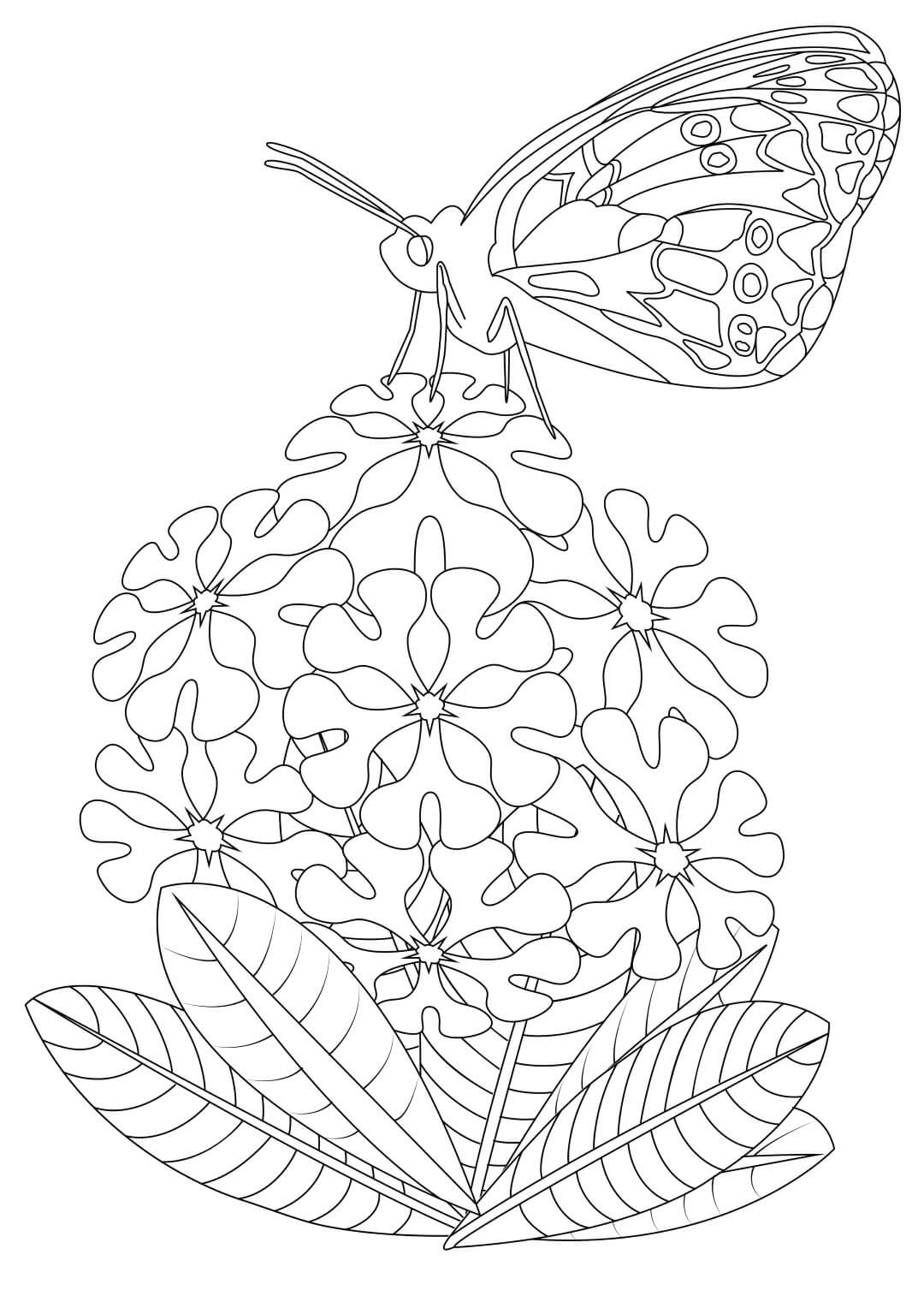 Butterfly on Flower Coloring Page