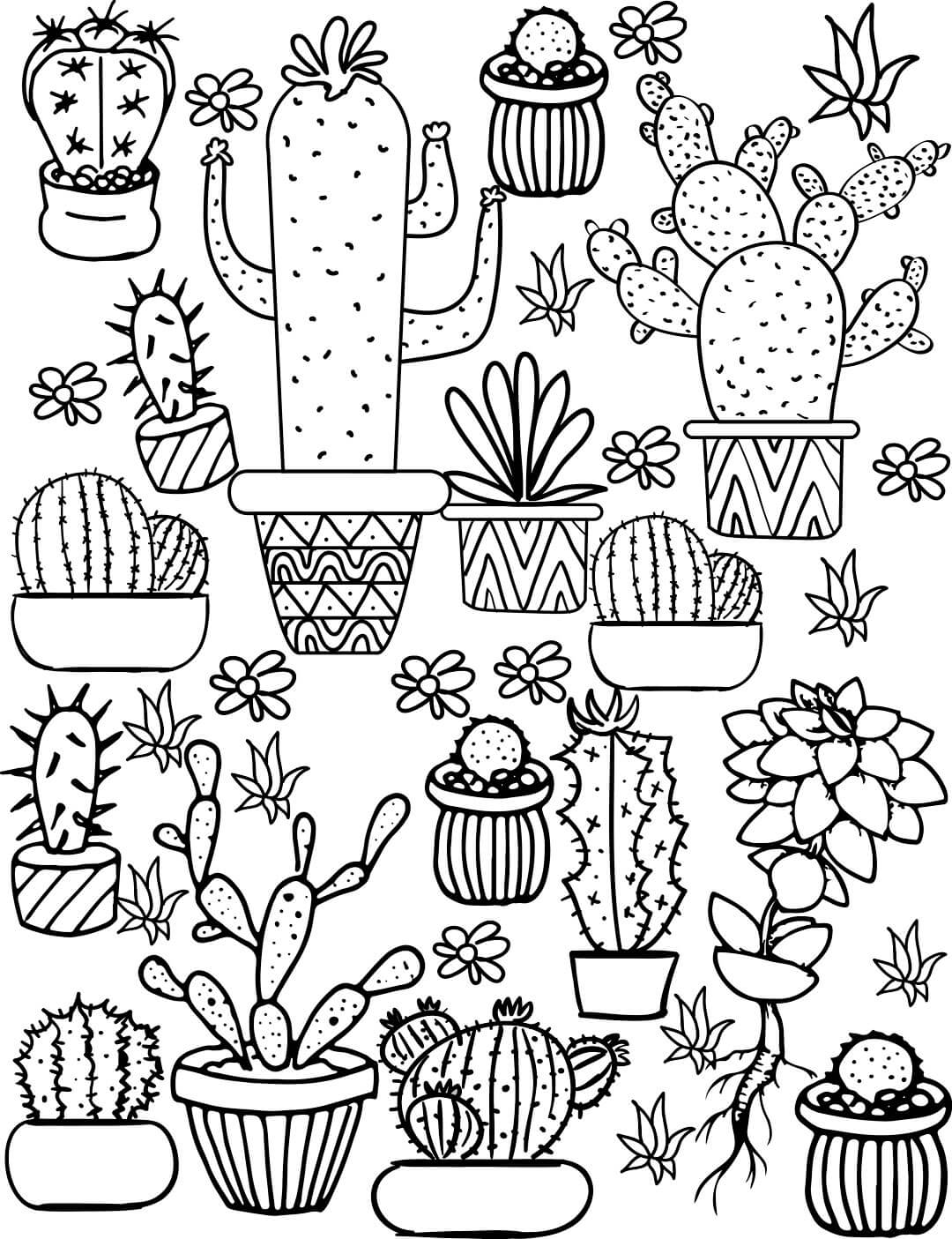 Cactus And Succulent Coloring Page
