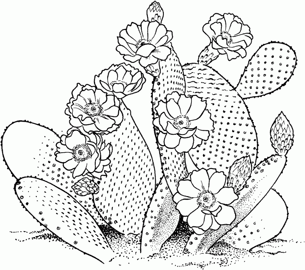Cactus With Flowers Coloring Pages
