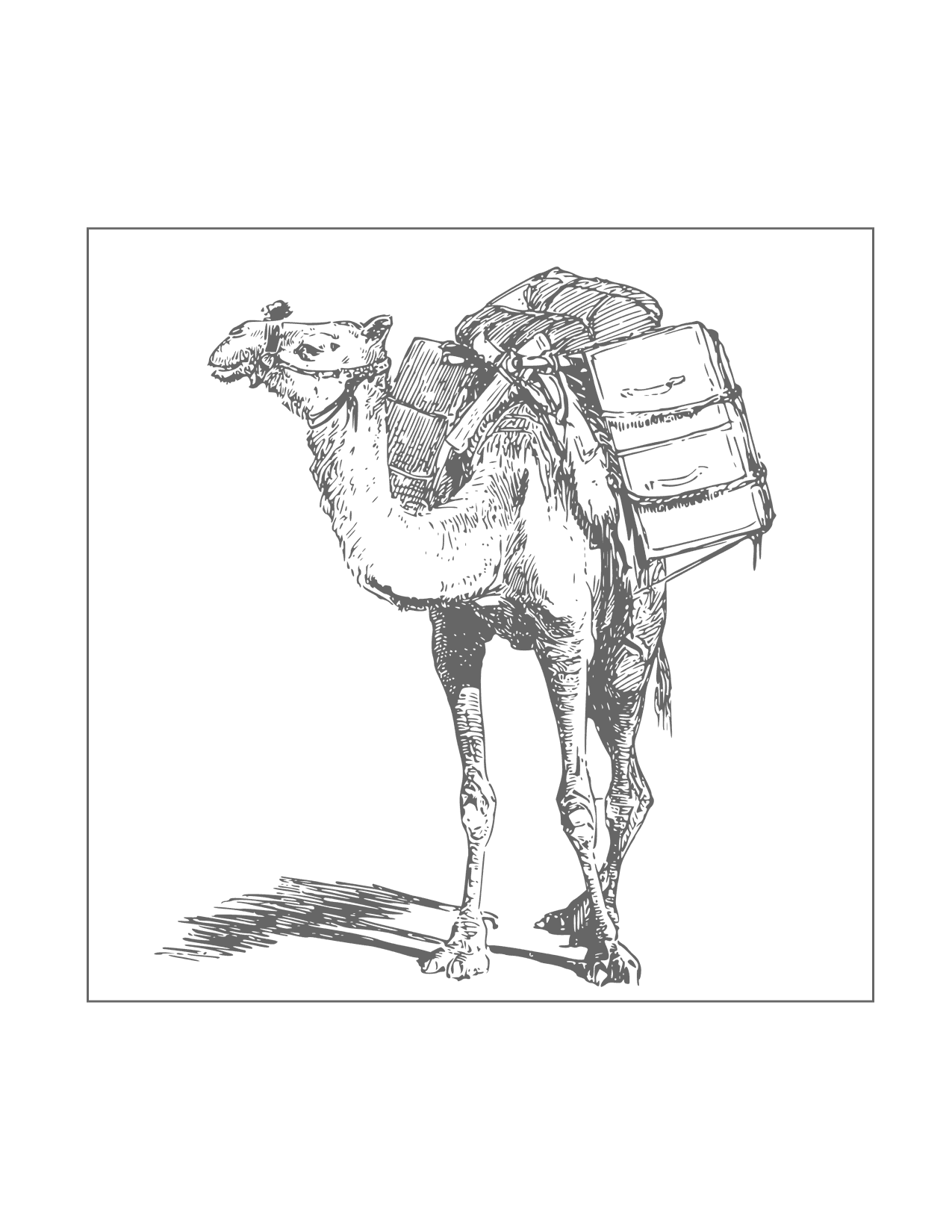 Camel Carrying Things Coloring Page