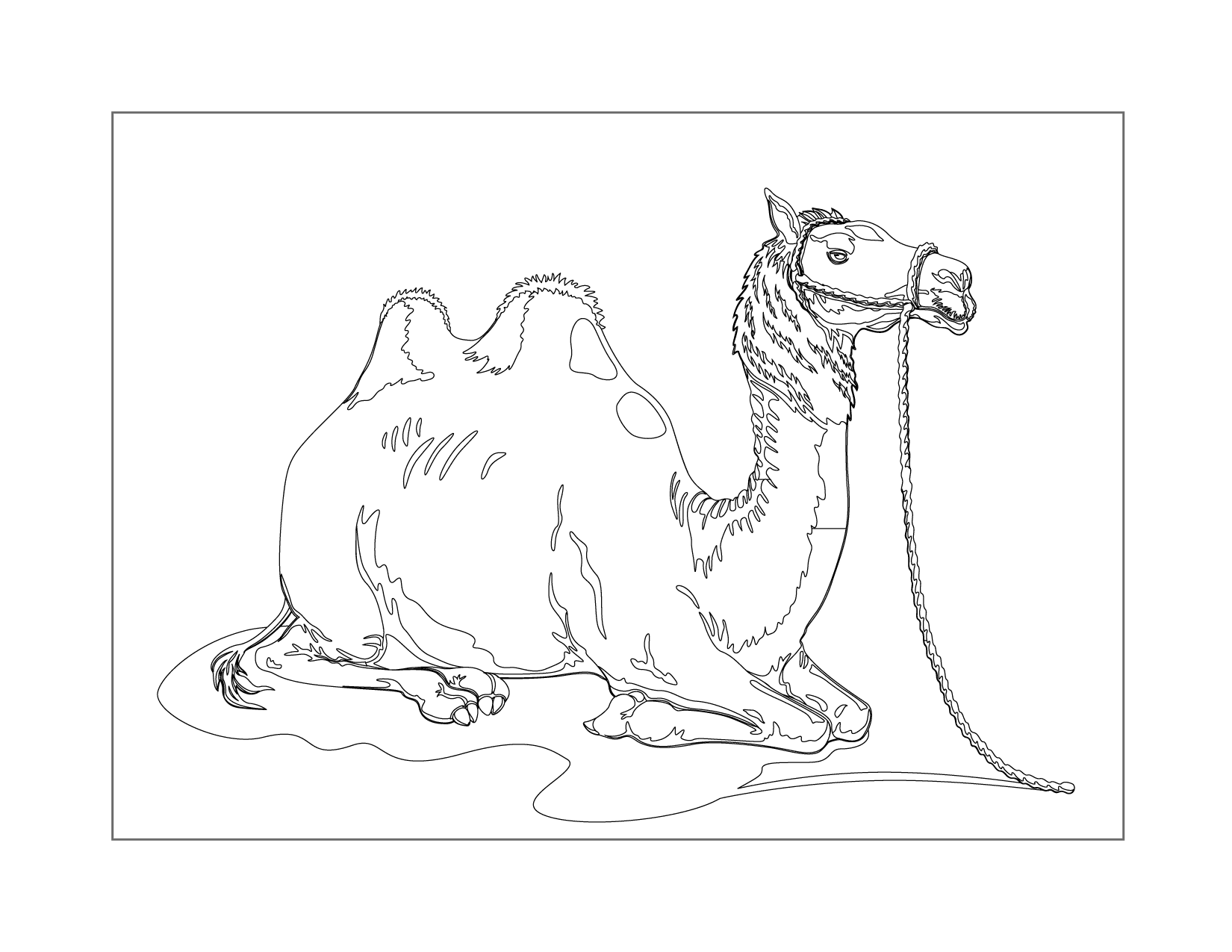 Camel Resting Coloring Page