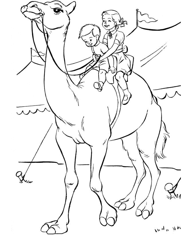 Camel Riding Animal Coloring Pages