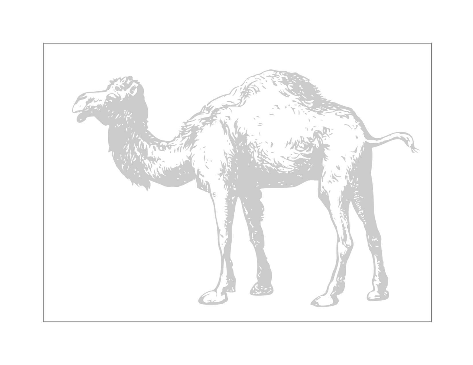 Camel Traceable Print Coloring Page