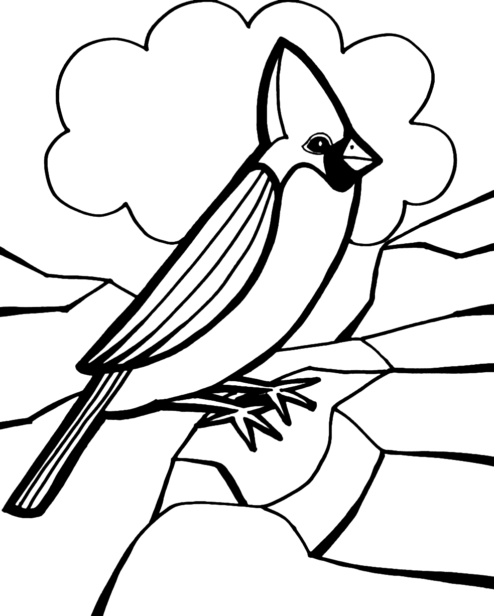 Cardinal Bird Coloring Page