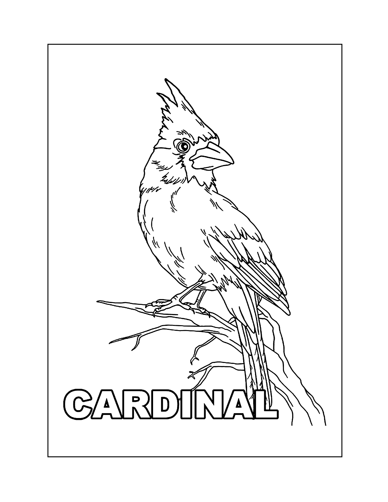 Cardinal Coloring Sheet