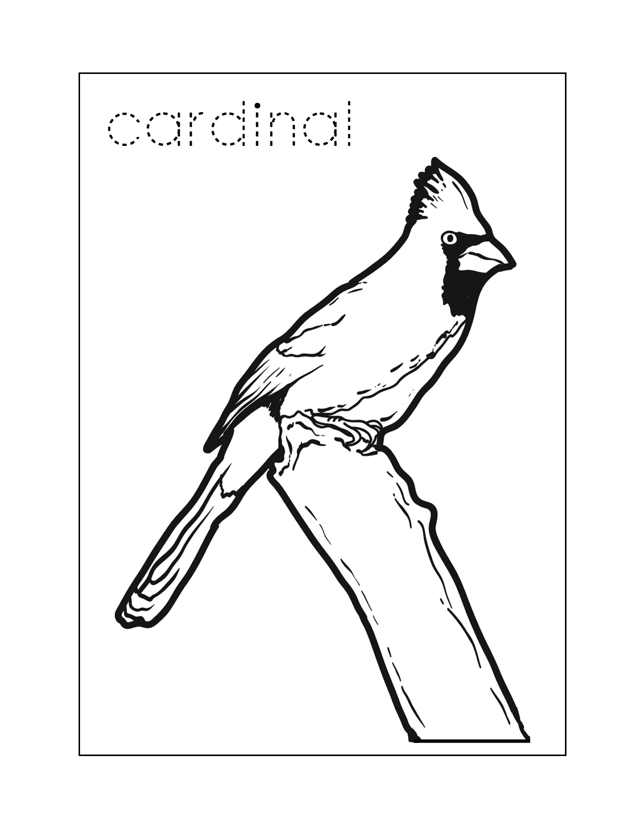Cardinal Coloring Worksheet